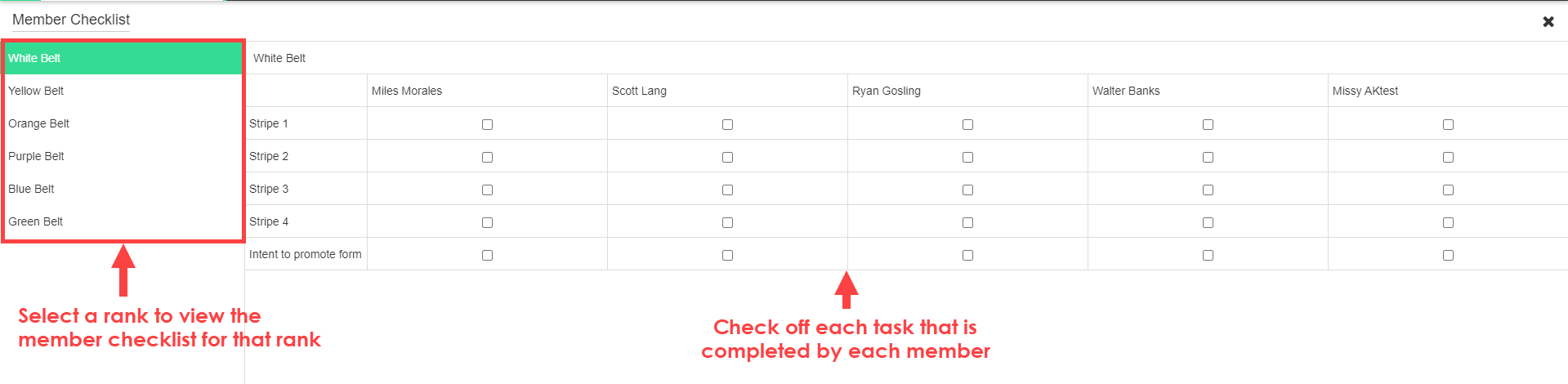 Belt Tracker Member Checklist showing required tasks and milestones a student must complete before testing eligibility
